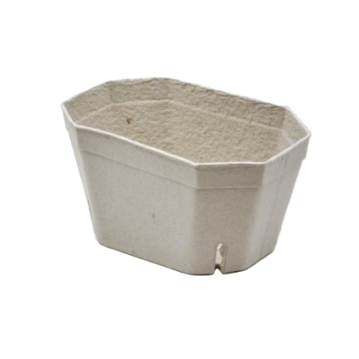 Košarica za jagodičevje iz celuloze