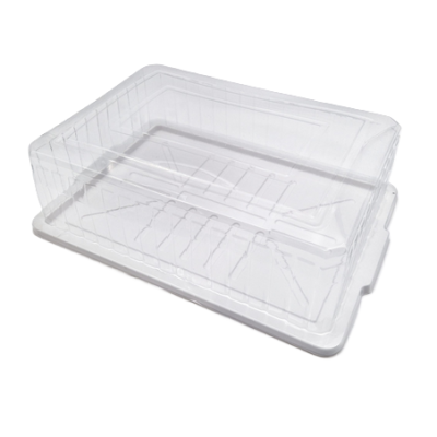 Embalaža za torto s pokrovom